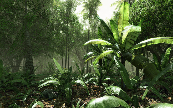 Crysis forests wallp...