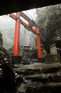 Lemondayfish采集到风景