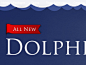 Dolphinquestsplash