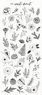 文艺小清新手绘植物叶子纹理名片包装平面名品明信片网页logo设计矢量png素材图