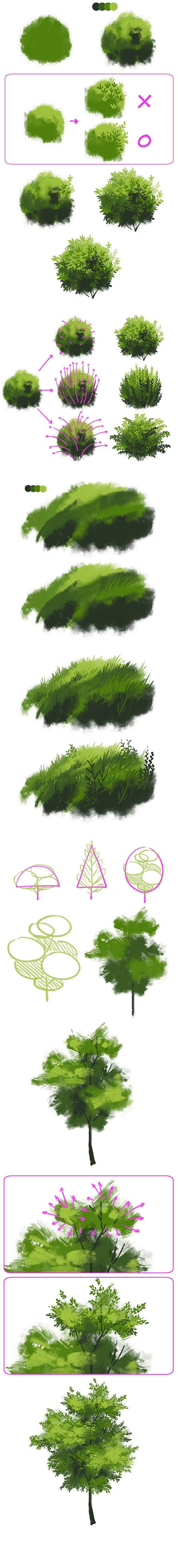 植物画法