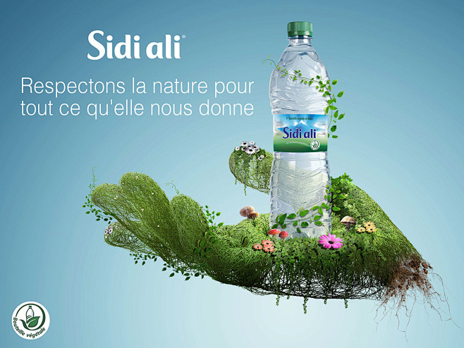 Mineral water Sidi A...