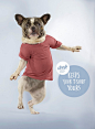 Dreft洗衣液：来世再做只幸福的宠物狗吧 | TOPYS | 全球顶尖创意分享平台 OPEN YOUR MIND | 作品