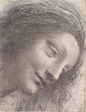 晚安
/
The Head of the Virgin in Three-Quarter View Facing Right，达芬奇，1510-1513

·

她的浅笑如月光一般皎洁。...展开全文c