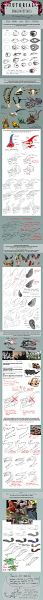 TUTORIAL: Dragon Details by SammyTorres.deviantart.com on @deviantART