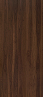 木纹  木地板  贴图 张猛 (308)