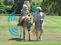 以色列北部城市Hoshaya 一个游乐村近日为了让村里通wifi 信号，不得不动用到了驴子。他们把wifi信号热点和放大器放在了村里的驴子身上，贯穿全村30头驴，有驴的地方就有wifi信号。

呃，实际上目前只有5头驴在试运营中。如果效果好，所有的驴都会安装上这样的wifi热点。

据了解这个游乐村是一个旅游地，类似主题公园，为了给游客提供更好的服务，他们才这么弄的。