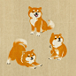 Won Hye Min | 一只超萌柴犬的趣味插画设计