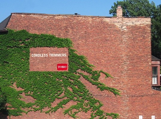 国外创意户外广告墙体绿植