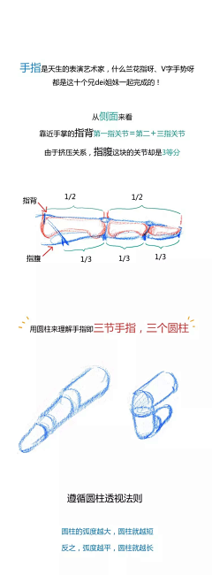 一路向南hojn采集到人体结构