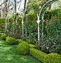 Latticework & Roses: California Garden - Traditional Home Arbors Boxwood hedges and globes border a series of arbors. Red climbing roses and shrub roses provide delightful pops of color.