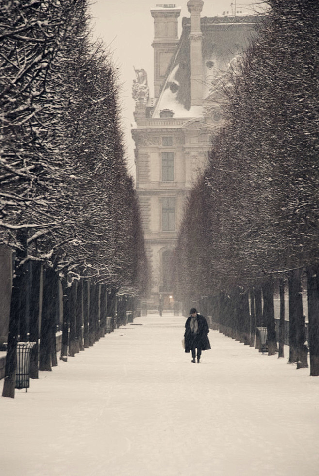 法国巴黎卢浮宫前的雪中小径 #国外# #...