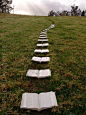 I have taken the book path.: 