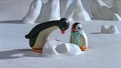 陈阿澈采集到企鹅！
