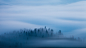Misty Dreaming : A series of early morning photographs capturing fog and clouds.