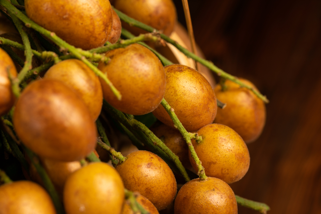 3e46b2999e3b6d537099d4649df7950e3a5ec7dd70130-YMv2tU