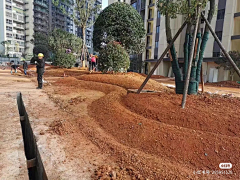 严老师（植栽设计）采集到景观施工工艺工序