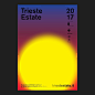 Trieste Estate 2017里雅斯特品牌设计 ​