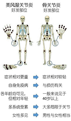 Yeagle采集到医学