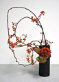 Ikebana By Sima. Using Vinus