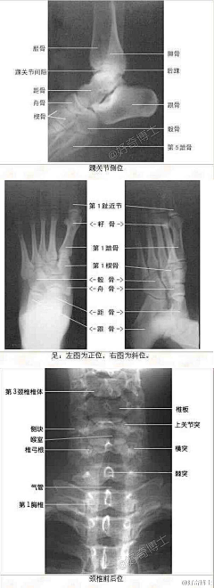 Yeagle采集到医学