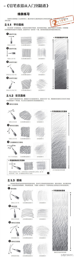 mimosifolia采集到绘画