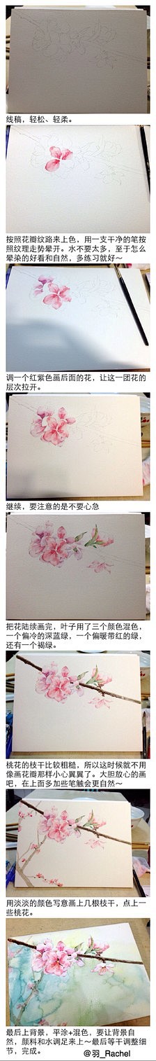 水彩教程，桃花。