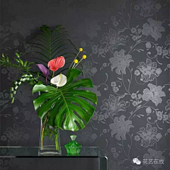 ssHill采集到A -- Floral art