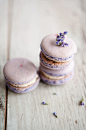 Lavender macarons. | Eat dessert first.（联系qq 1719624769备注菜谱 可领取史上最全的美食食谱笔记）
【关注公众号：shise78 每天高质量菜谱分享】博客 http://blog.sina.com.cn/u/5536485732  
食色空间厨艺大赛qq群：298702504
http://1719624769.qzone.qq.com 