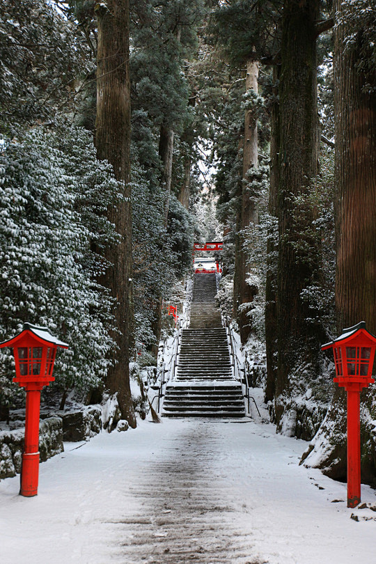  箱根神社