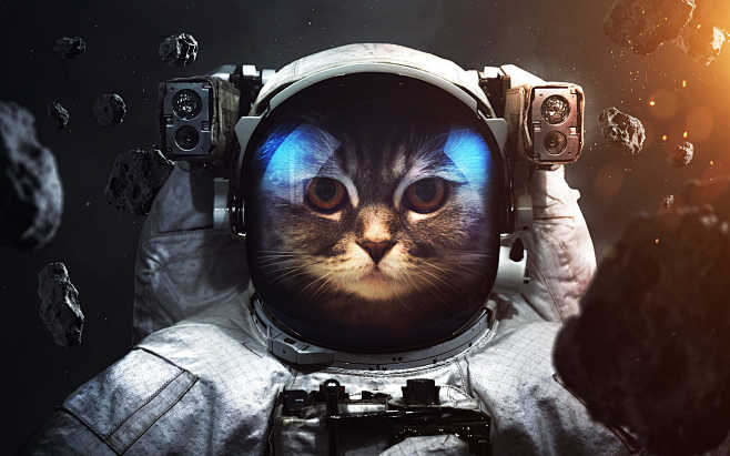 Brave cat astronaut ...