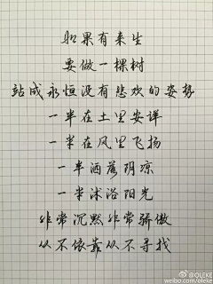 徐大慧采集到字体/标题/排版/好看的手写字