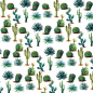 水彩仙人掌插画 平铺植物背景 png元素免扣 patterns03