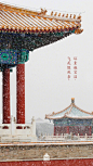 #紫禁城的初雪#，扣了朱门，染了琉璃，傍了湖石，幂了小松~ ​​​​