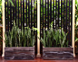 Design ideas for an asian landscaping in Sydney.