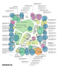 Counts Studio 100 Year Comprehensive Tree Strategy Composite Plan Diagram