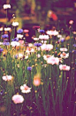 colors and flowers! Beautiful <3