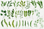 cm165文艺清新健康绿色树叶水彩手绘绿叶装饰PNG免扣设计素材-淘宝网