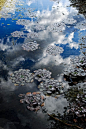 Photograph Cloud in the water by Onur Güner Güray on 500px