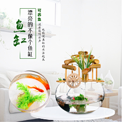 360礼品-印刷采集到创意家居