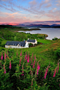 Sunset, Isle of Mull, Scotland
photo via evelyn