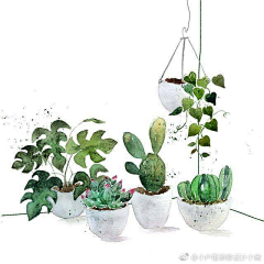 杨小森采集到植物系列非PNG格式