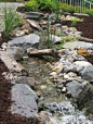 Hometalk :: Rainwater Harvesting and self sustainable water feature