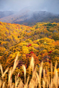 Mt.Aizu梯，福岛，日本