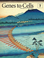 【平面】日本科学杂志《Genes to Cells》封面欣赏，让人耳目一新。