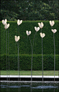 Leaf sculpture. Kiftsgate Garden