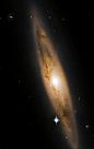 Galaxy NGC 4866