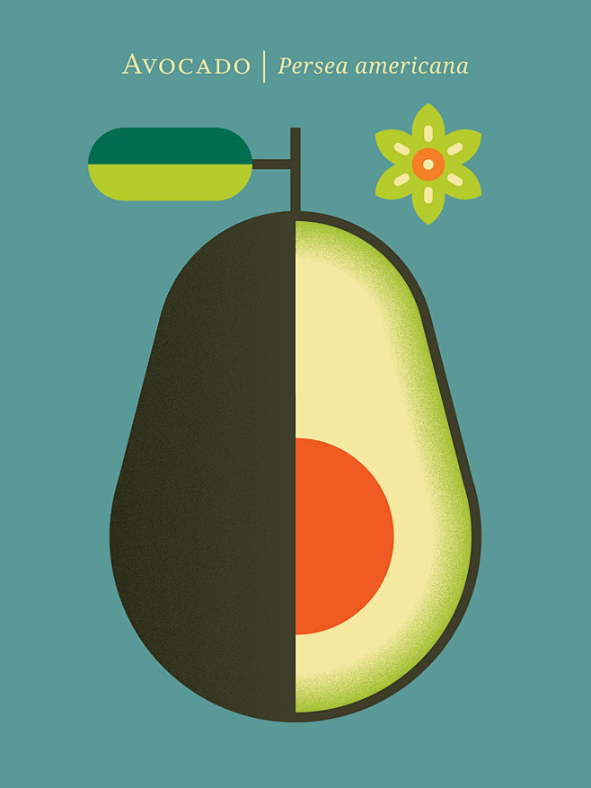 Fruit : This poster/...