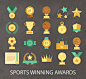 20款体育类奖牌奖杯设计矢量素材，素材格式：AI，素材关键词：体育,奖杯,奖牌,冠军