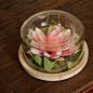 东游记中式花艺玻璃睡莲小鱼缸烟灰缸整体花艺假花仿真花布景装饰